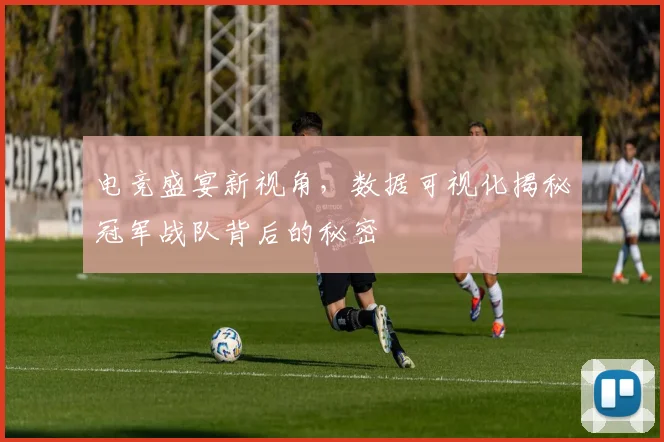 电竞盛宴新视角，数据可视化揭秘冠军战队背后的秘密