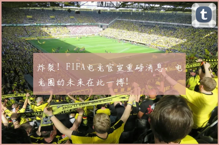 炸裂！FIFA电竞官宣重磅消息，电竞圈的未来在此一搏！
