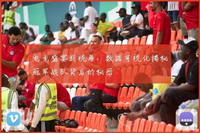 电竞盛宴新视角，数据可视化揭秘冠军战队背后的秘密